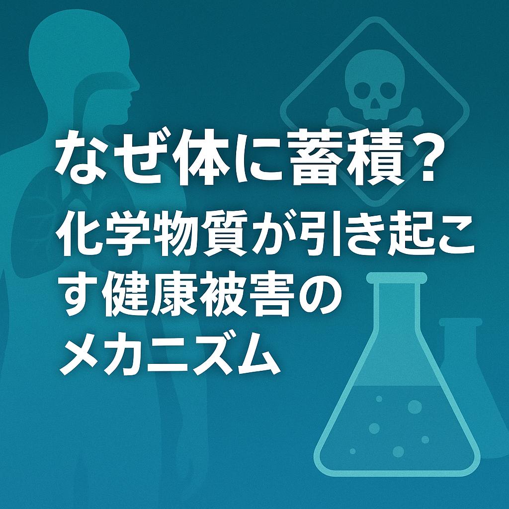 なぜ体に蓄積？化学物質が引き起こす健康被害のメカニズム